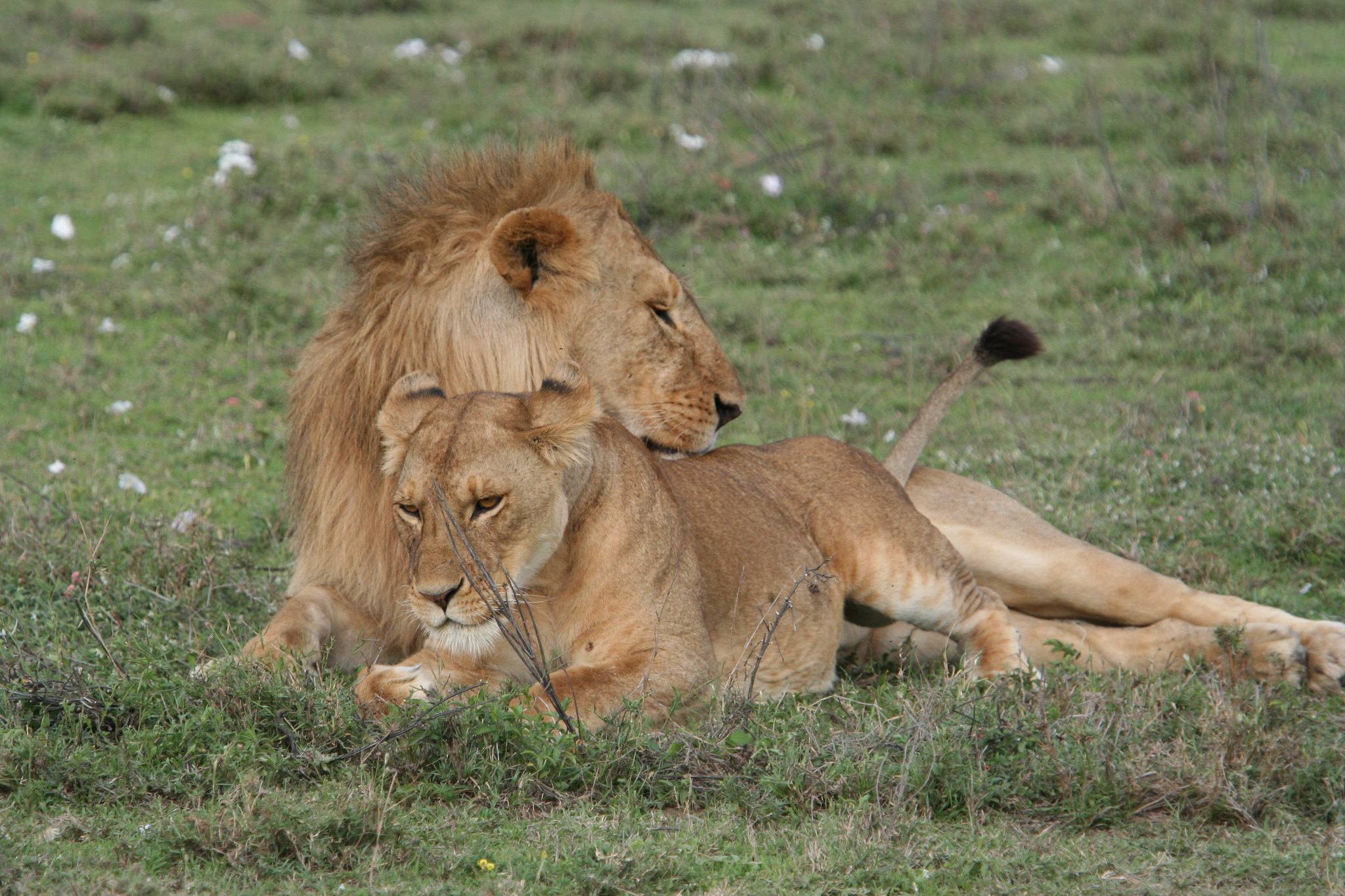 Katavi National Park