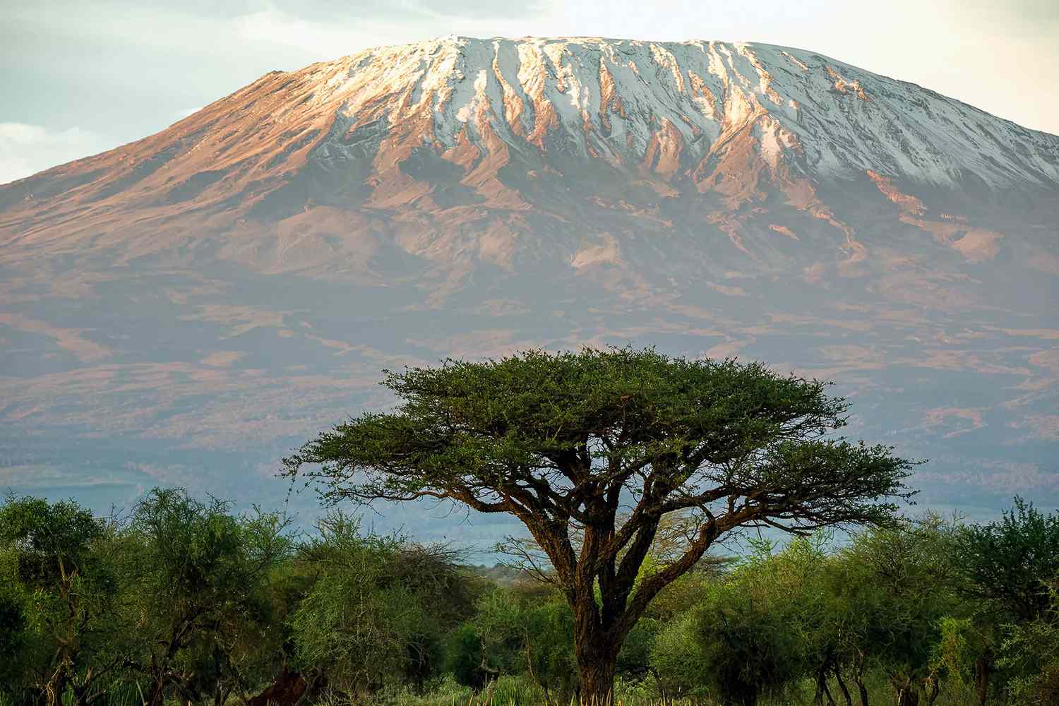 Mount Kilimanjaro